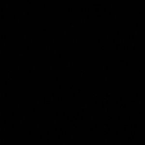 Meet your Posher, Hunter